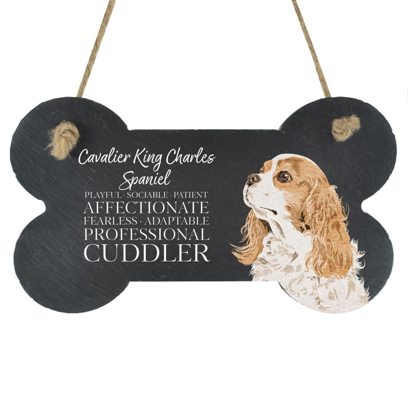 Vivid Squid Wholesale Animals Box Signs & Plaques