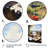 Vineyard Rendezvous In Rioja I - Vineyard Wall Decor-1574572858-1353820625