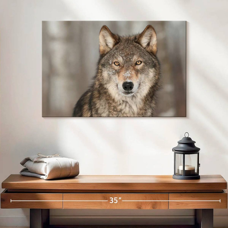 Brampt Gray Wolf Stare, 16" H x 24" W
