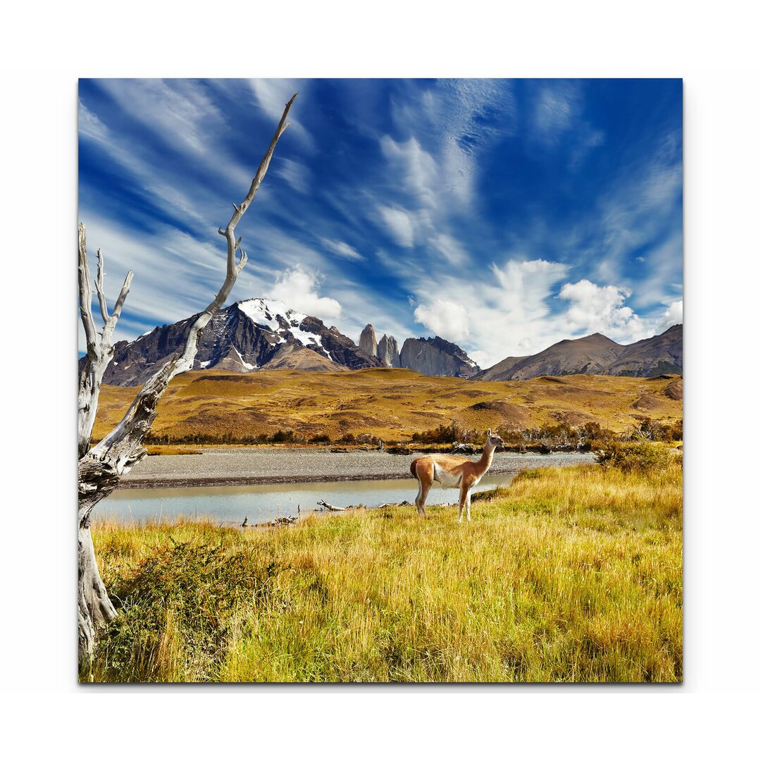 Leinwandbild Nationalpark Torres del Paine  Chile