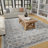 Aldolivio Oriental Indoor Rug-1367346888