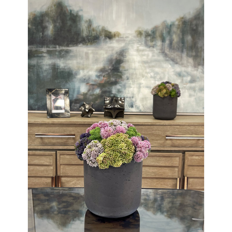 Polysilk Succulent Arrangement in Pot, Black