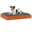 Pet Bed-849317497