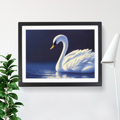 Ravishing Swan - Single Picture Frame Print