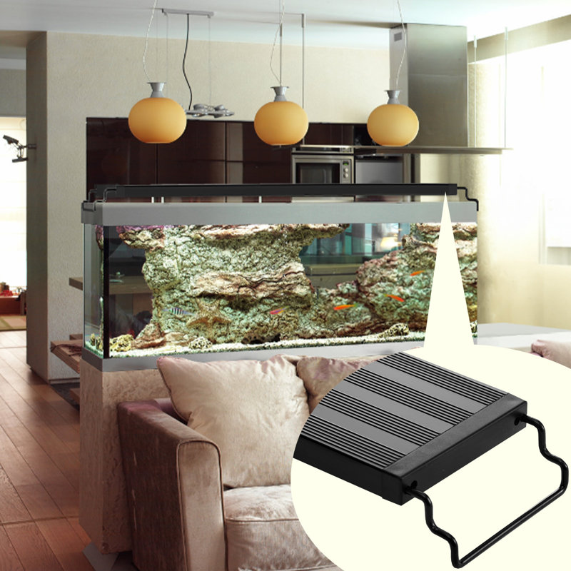 Lumière pour aquarium Fernell