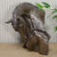 Animal Animals Bust
