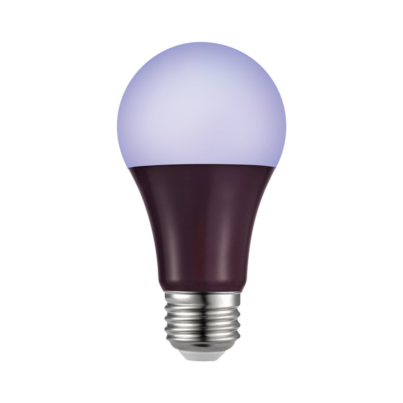 Ampoule del a19 de 3 watts, non à intensité variable, culot moyen (standard)
