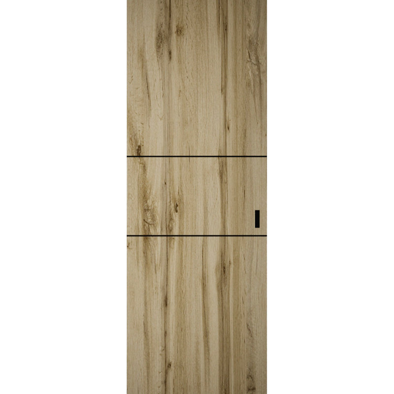 Hidden Barn | Planum 0014 | Sturdy Finished Flush Modern Doors | Magic Concealed Sliding Set, 30" x 80", Oak