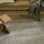 Tapis d'intérieur moderne multicolore Rassow-408206826-428856006