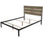 Lit standard Middlebury-2136799632