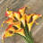12Pcs Red Yellow Artificial Calla Lily Flowers