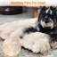 Pet Bed