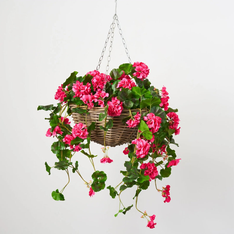 Panier suspendu en été avec des fleurs de géranium rose