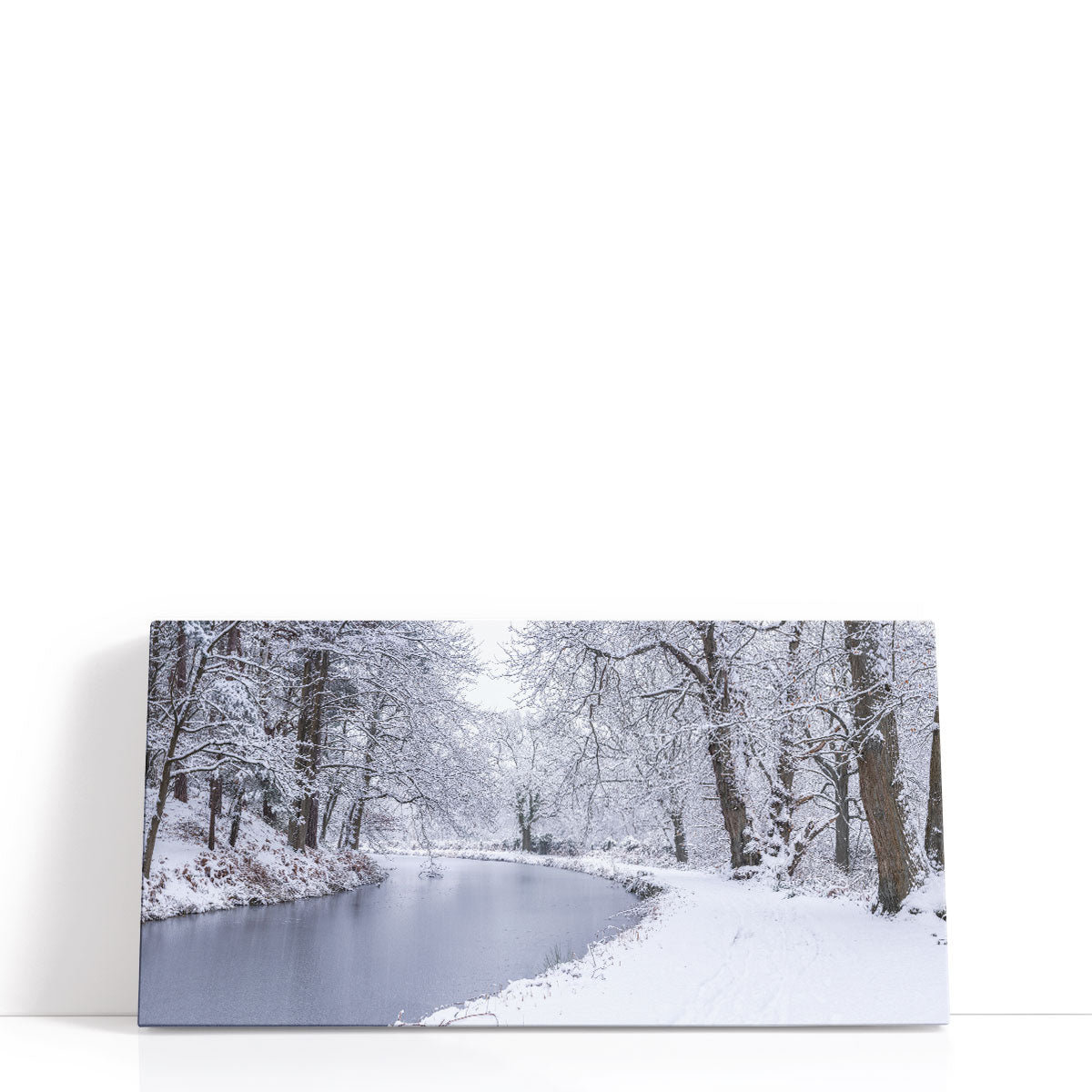 Union Rustic Canal through Forest - Canvas Print Wall Art | Wayfair