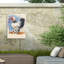 Coq bolant bolognaise, Brahma, 2020 sur toile-98044257