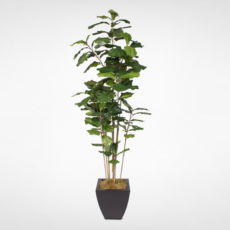 74'' Faux Fiddle Leaf Fig Tree in Metal Planter