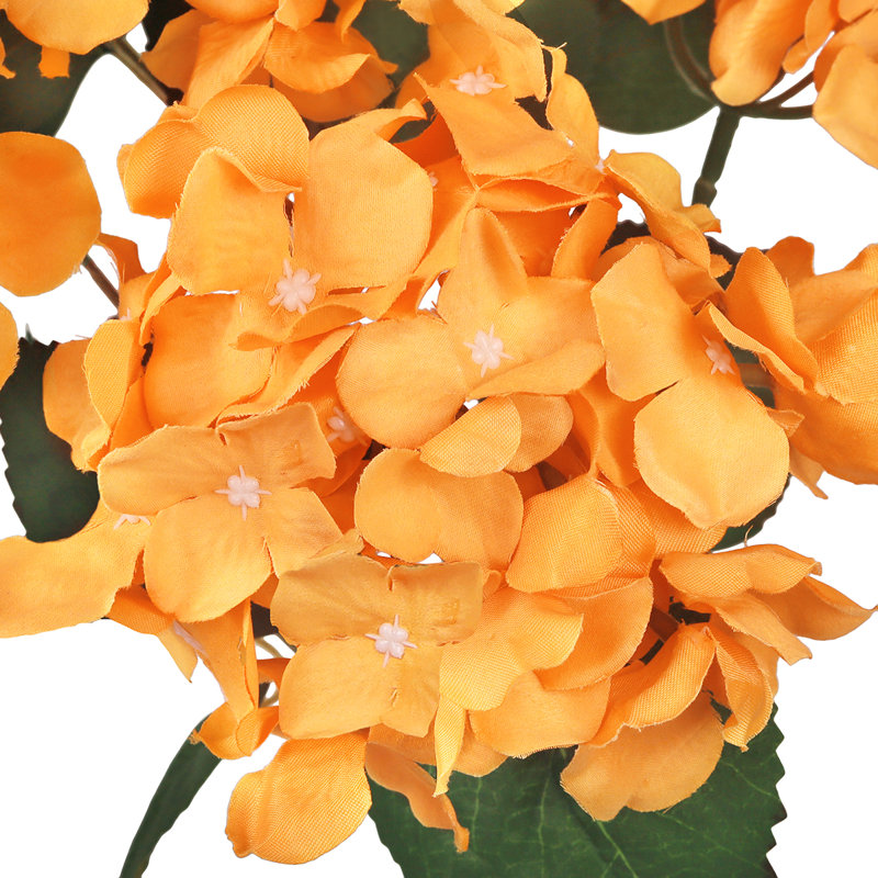 Tige d'hortensia de luxe Cragmont, Orange