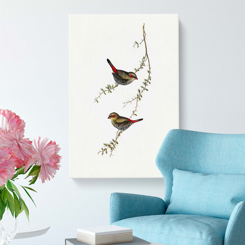 Finches by Elizabeth Gould - Wrapped Canvas, 50cm H x 35cm W x 3cm D
