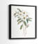 Impression encadrée Mountain Laurel I-Premium - prête à être accrochée - aucun clou requis - aucun clou requis-624468778-624468776
