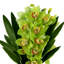 Arrangement floral orchidée avec pierres en pot en céramique-441388966