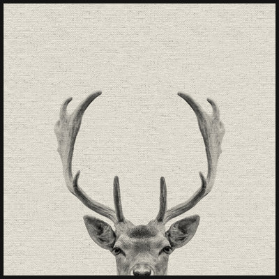 'Buck Surprise' Framed Canvas Print