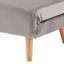 Donlon 2 Seater Velvet Sofa Bed-1582512049