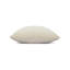 Plush Velvet Indoor & Outdoor Woven Accent Pillow-418514830