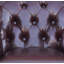 Canton Faux Leather Chesterfield Chair-33640654