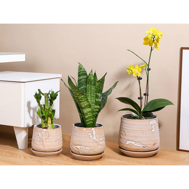 Petit pot en terre cuite roulé à la main avec soucoupe intégrée (paquet de 2) - Intérieur, Sable vert sauge