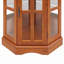 Corner Curio Cabinet With 5 Shelves And Lighting System(E26 Light Bulb Not Included)