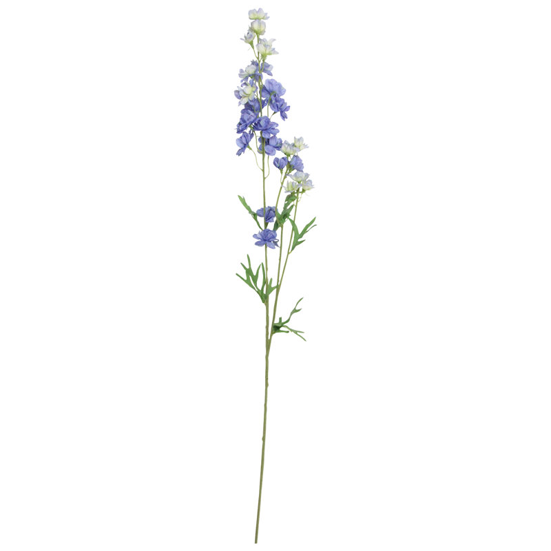 Tiges Delphinium