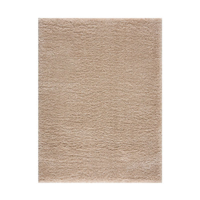 Super Soft Polyester Shag Area Rug