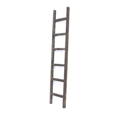 Échelle de couverture 6 pi