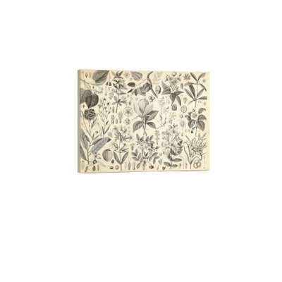 Retro Botanical Antique Floral Art, Built-In Back Wood Frame Wall Art, 30 X 20