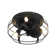 Rakestraw 12.2'' Flush Mount Caged Ceiling Fan with LED Lights and Remote Control