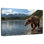 Katmai ours brun