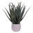 19.5'' Faux Succulent in Pot