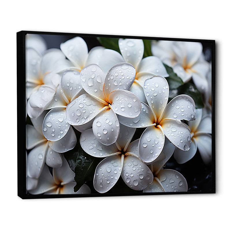 Plumeria pluvieux paradis sur toile, Cadre flottant noir, H 34 po x l 44 po x P 1,5 po