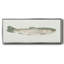 Fresh Catch III - toile encadrée-111265944