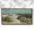 Noyer