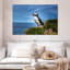 Macareux Latrabjarg-703954921