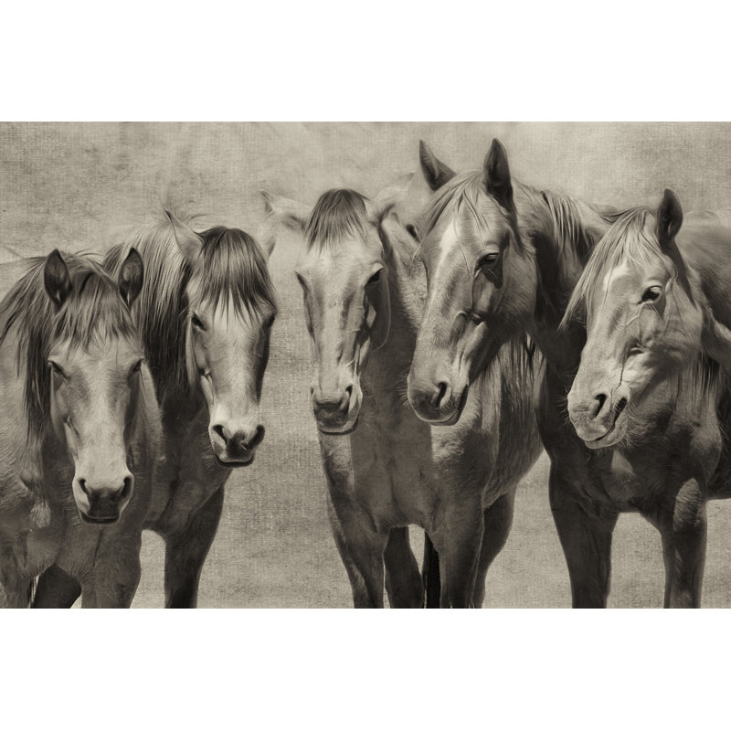 Meeting Of The Minds - Wrapped Canvas Photograph, 8" H x 12" W x 1.25" D