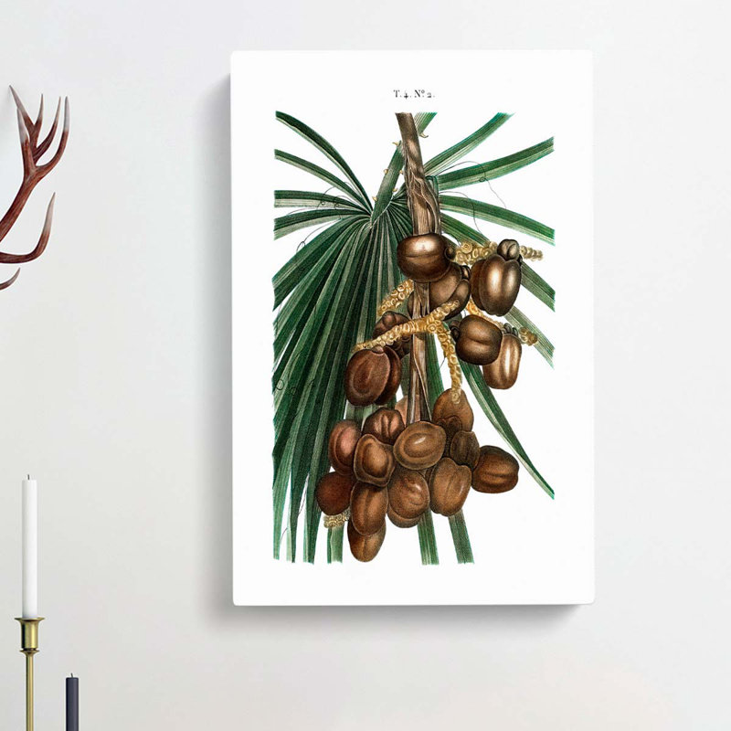 Date Palm by Louis Renard - Wrapped Canvas, 50cm H x 35cm W x 3cm D