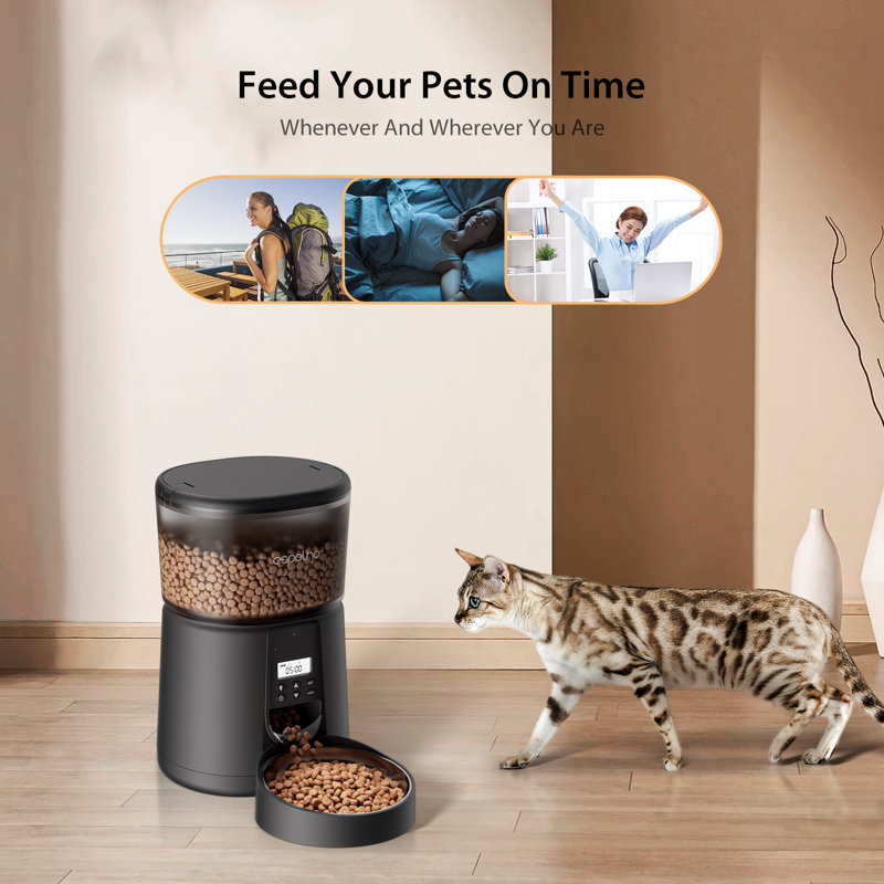 Distributeur automatique de croquettes pour chats, 3 L, minuterie, conception anti-obstruction, distributeur de croquettes pour chiens et autres animaux de compagnie