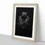 Black Panther in the Shadows in Abstract - Picture Frame Graphic Art Print on MDF-55686349-55686347