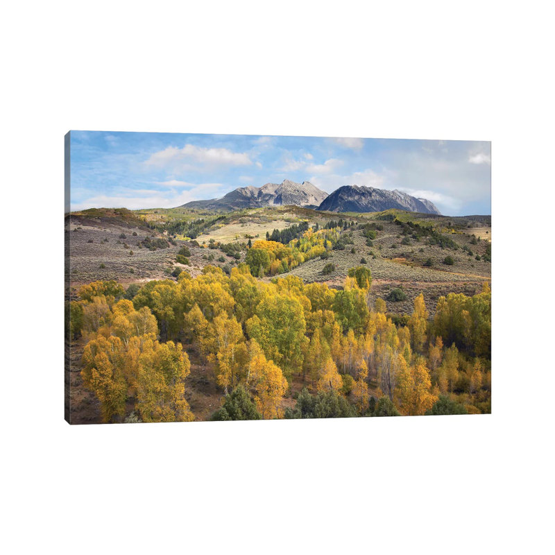 Quaking Aspen Forest And Chair Mountain In Autumn by Tim Fitzharris - Wrapped Canvas Print, 30.48 cm H x 45.72 cm W