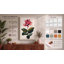 Magnolia Study Botanical - Wrapped Canvas-394435351-394435352
