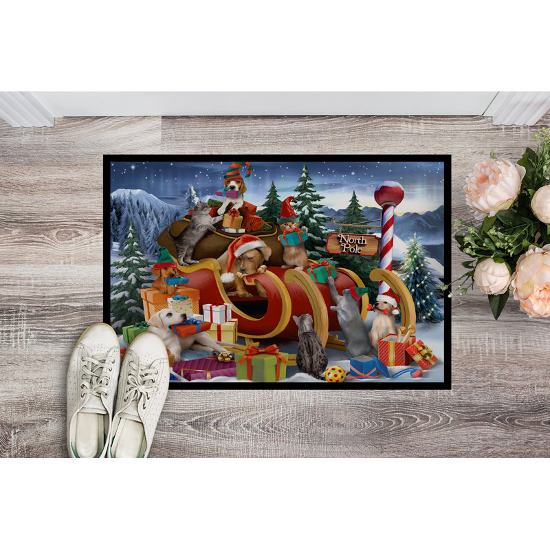 Diaonetta Non-Slip Christmas Outdoor Doormat, Rectangle 2' x 3'