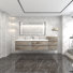 Moreno Bailey 103.5'' Double Bathroom Vanity with Acrylic Top