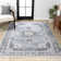 Frutuosa Bohemian Distressed Chenille Machine-Washable Gray/White Rug